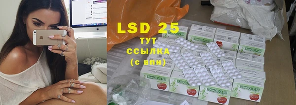 PSILOCYBIN Алзамай
