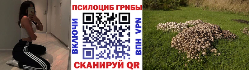Галлюциногенные грибы MAGIC MUSHROOMS  Алупка 