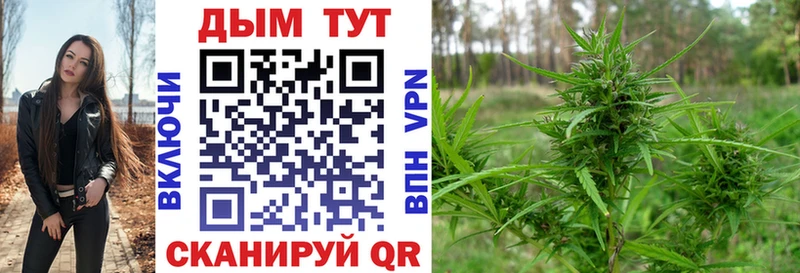 магазин продажи   Алупка  Конопля гибрид 